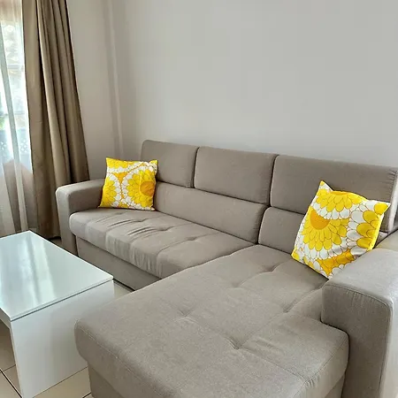 Bejeque * Puerto de la Cruz (Tenerife)